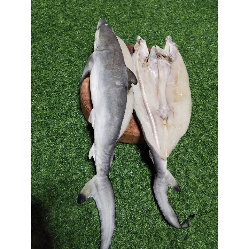 

ikan asin hiu 500gr