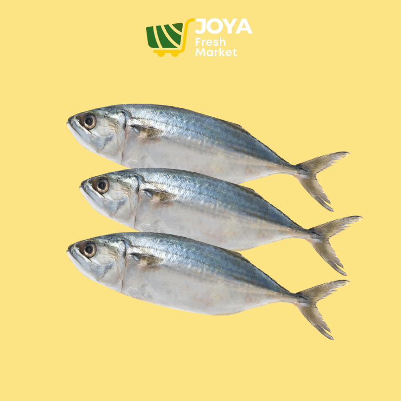 

Joya Fresh - Ikan Gembung Kuring Segar/Seafood Segar/Ikan Kembung Kuring