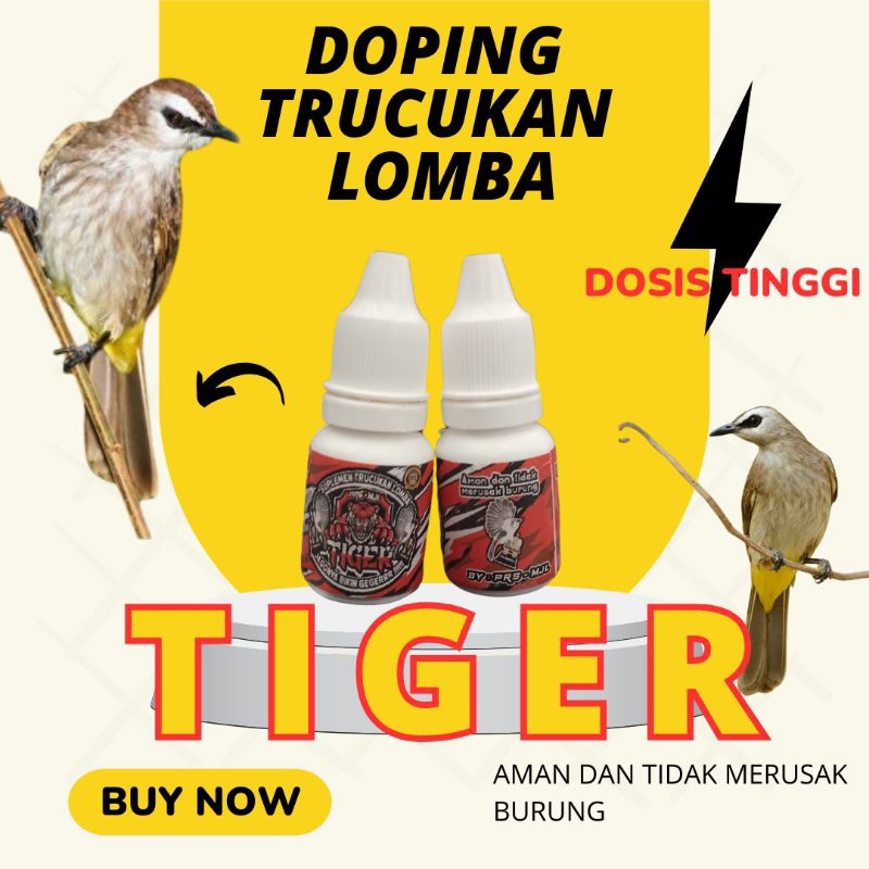 DOPING TRUCUKAN LOMBA  TIGER