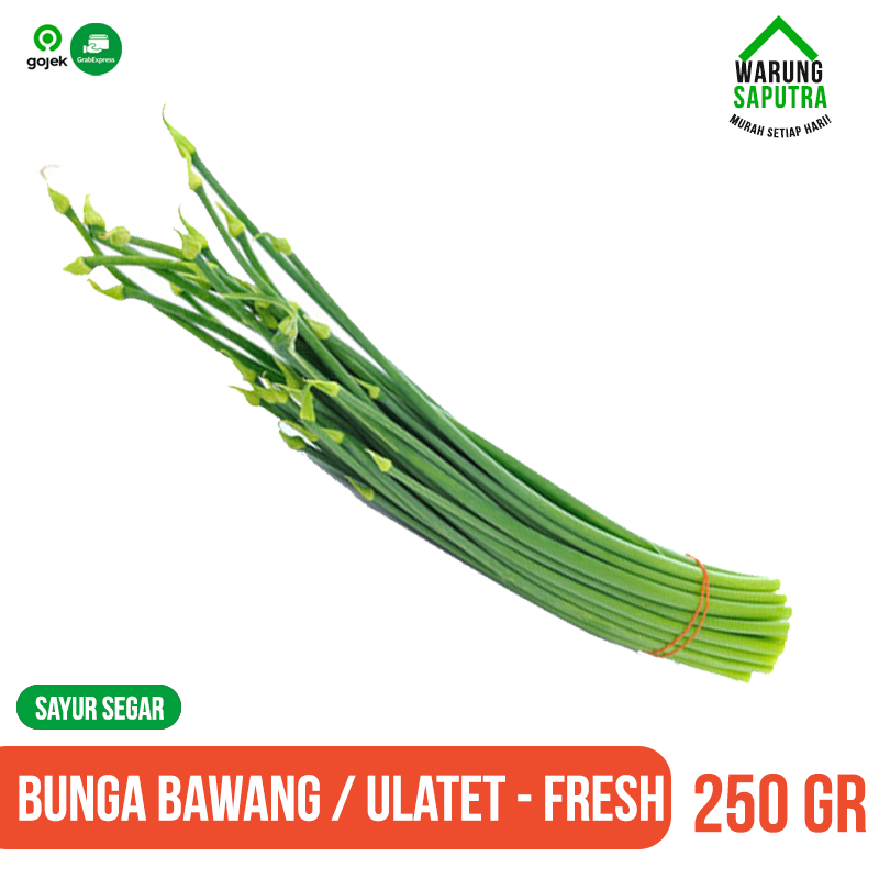 

Ulatet / Sayur Bunga Bawang Daun 250 g