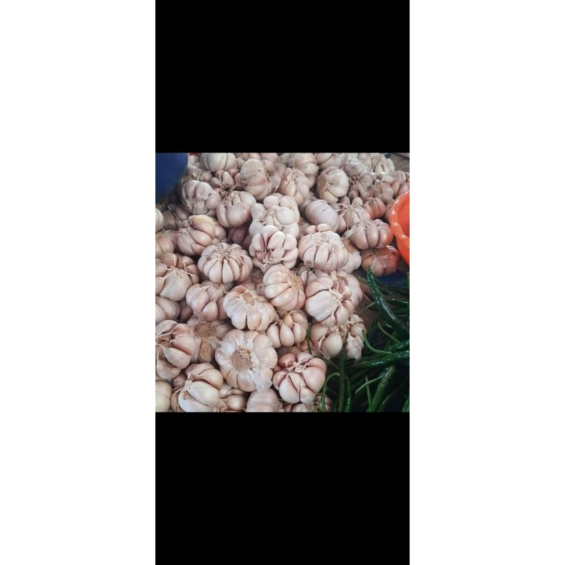 

bawang putih