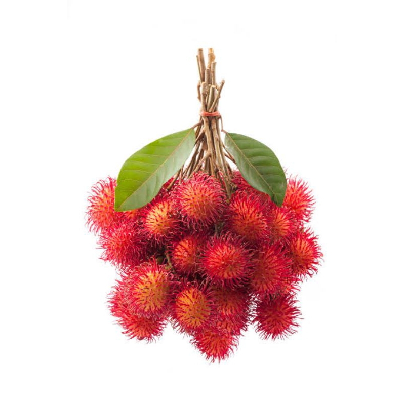 

Buah Rambutan Segar