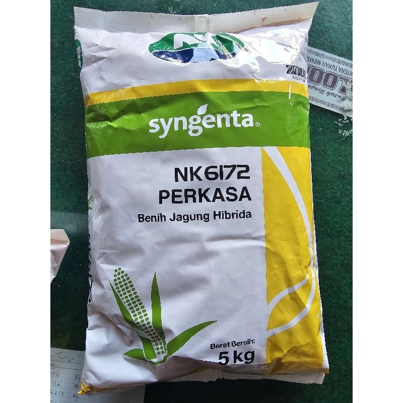 bibit NK PERKASA 6172