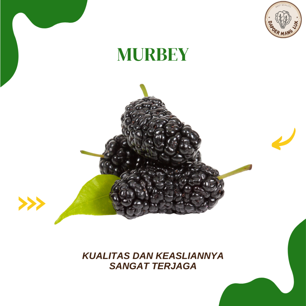 

DRIED SERBUK BUAH MURBEY BEST SELLER