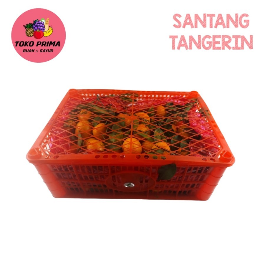

Buah Jeruk Santang Tangerin Per Keranjang