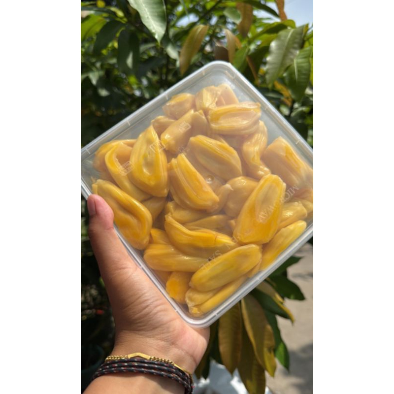

INSTAN NANGKA KUPAS NON BIJI per box 1 KG