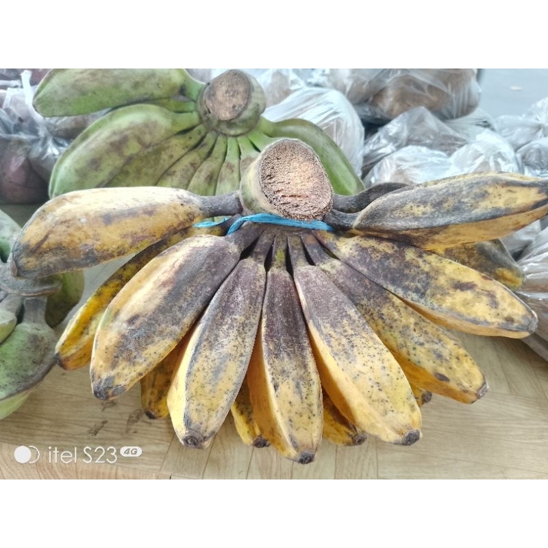 

PISANG KEPOK KUNING/KEPOK MERAH/PISANG KEPOK/PISANG SOBO/PISANG GAJIH /PISANG KEPOK MANIS