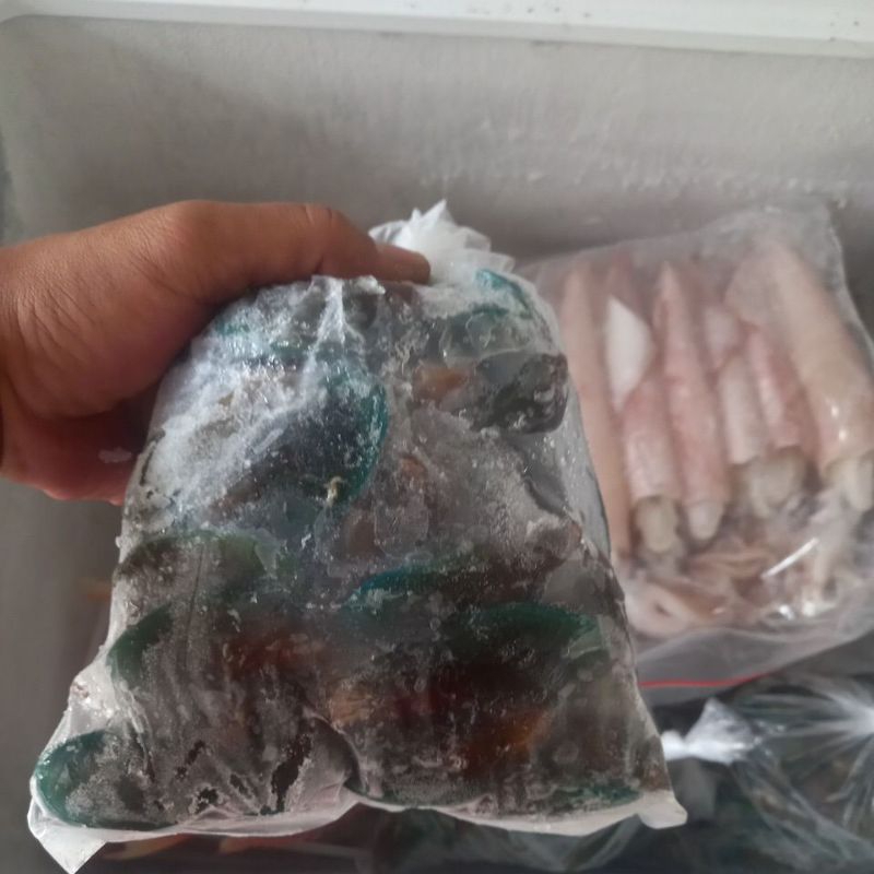 

kerang Hijau super 1kg