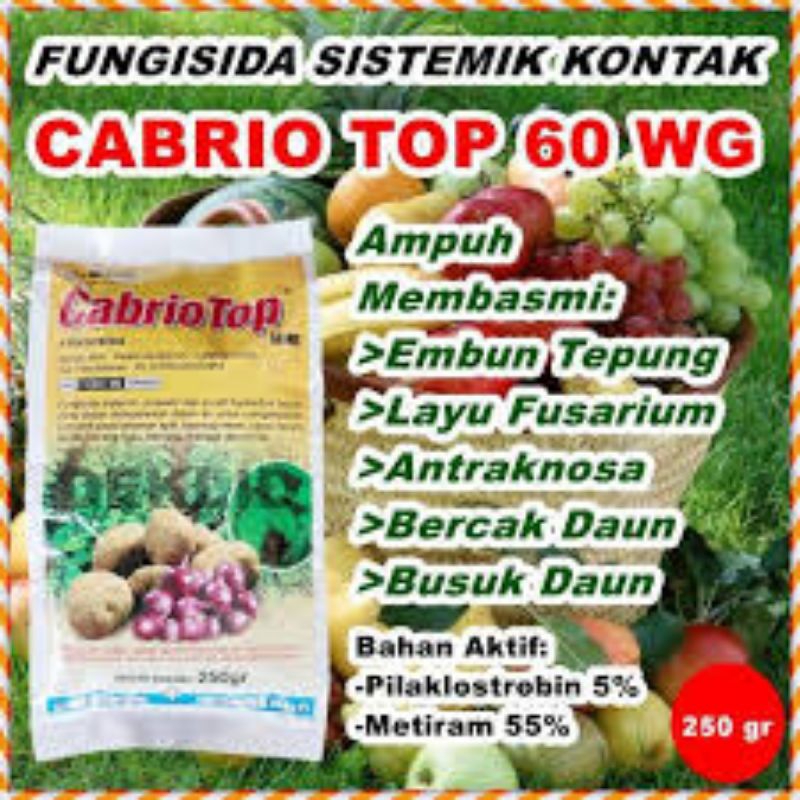fungisida CABRIO TOP 60WG-250gr