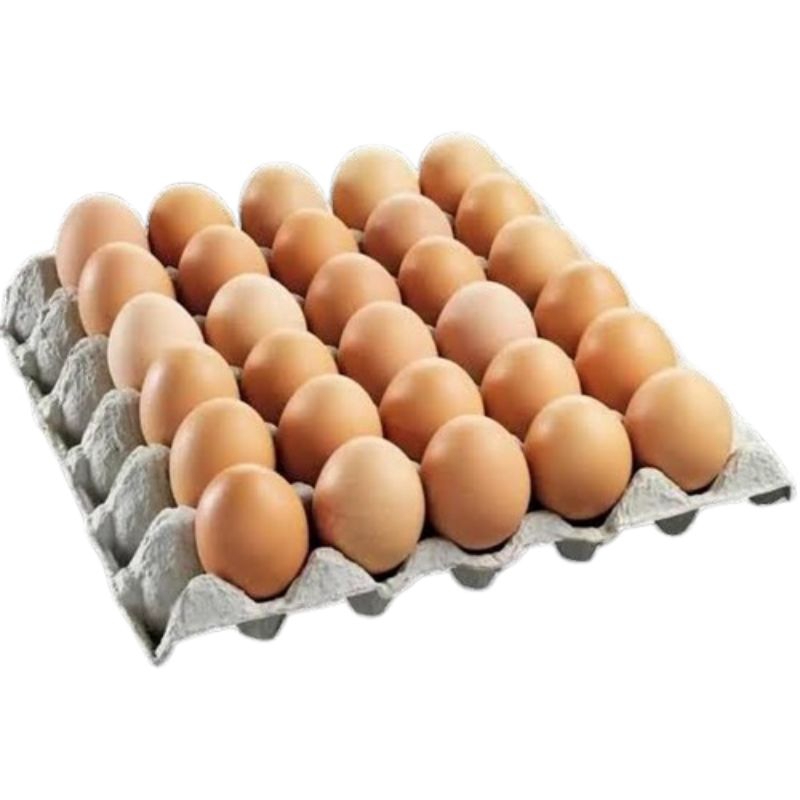 

Telur Ayam Negeri 100% Fress dari Kandang 1 TRAY