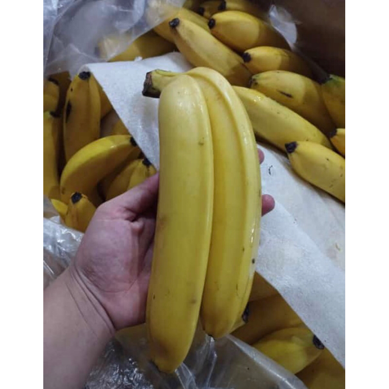 

Buah Pisang 1kg