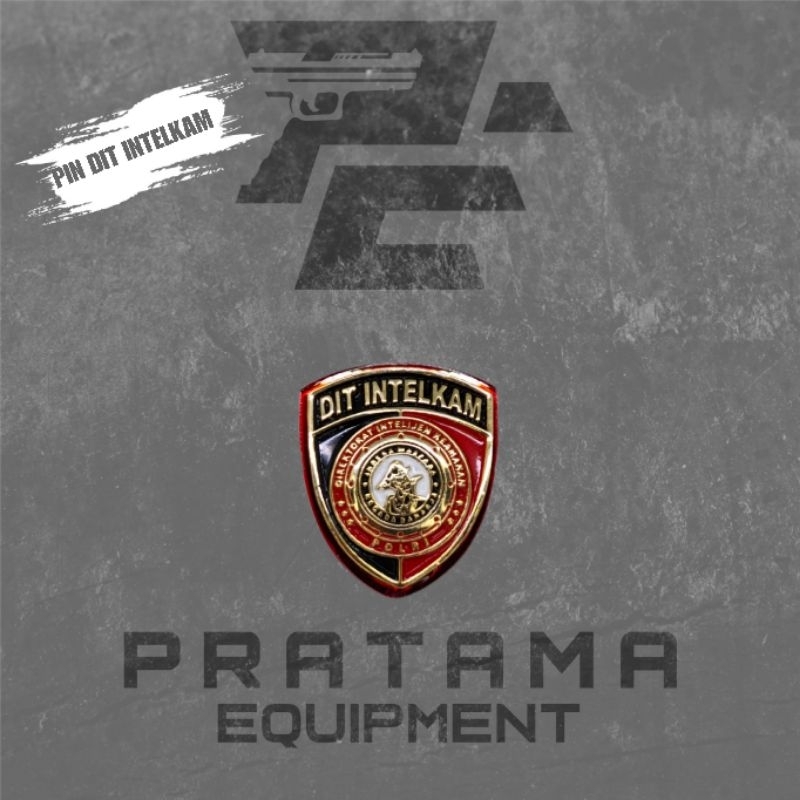 PIN / PIN PDH / PIN DIT INTELKAM