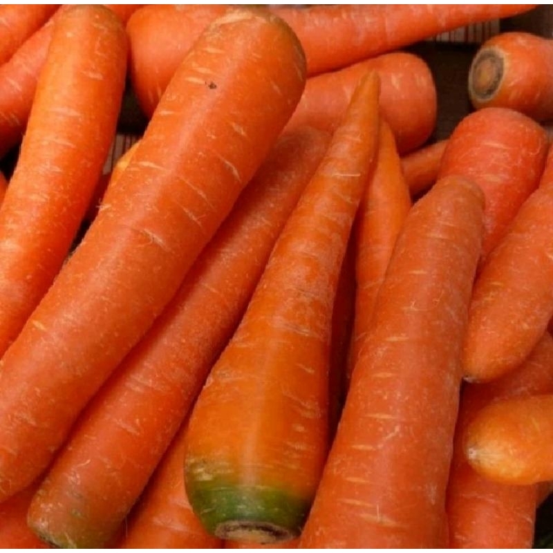 

Wortel Segar Dieng 250 gram fresh