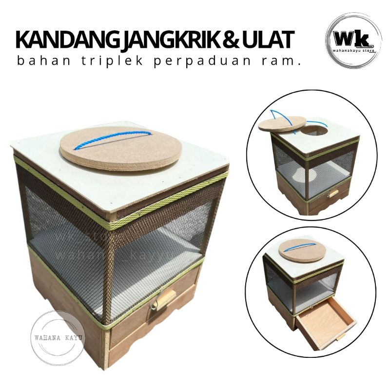 KANDANG JANGKRIK MODEL LACI/TEMPAT JANGKRIK DAN ULER VARIAN TERBARU