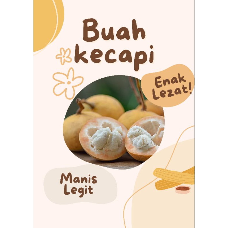 

Buah Kecapi 1 kg Manis legit segar