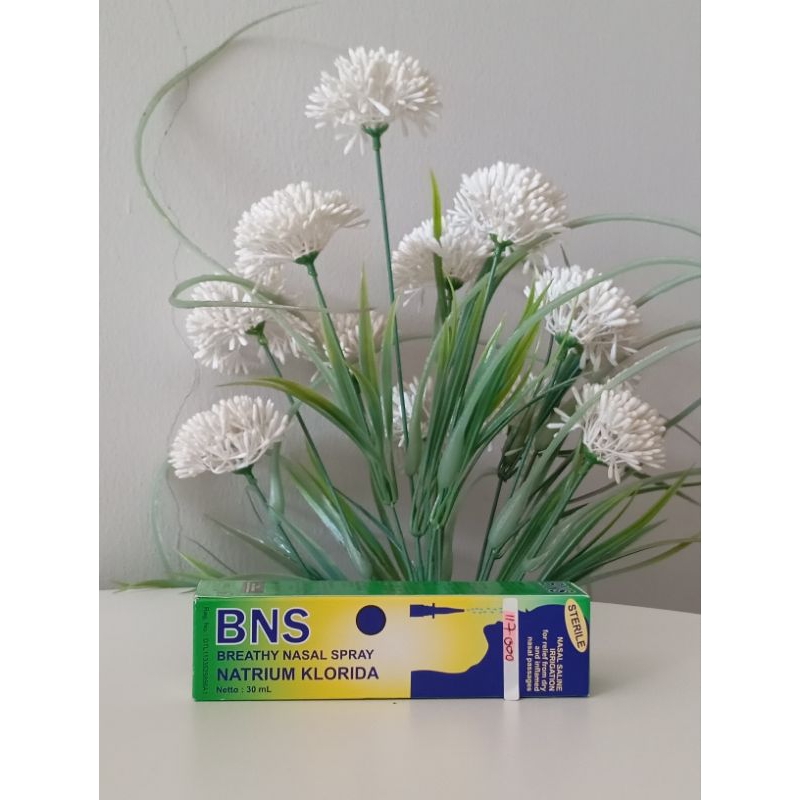 BNS Nasal Spray Breathy Klorida Natrium