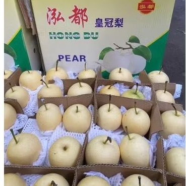 

Buah Pear Century Hongdu Jual Per 1 Dus Karton