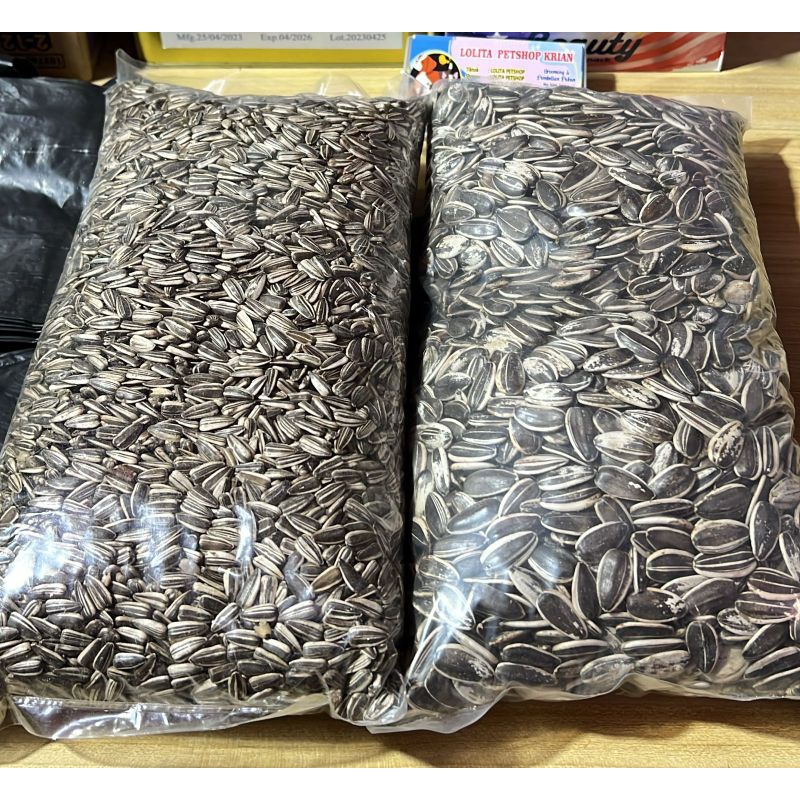 

Kuaci repack kemasan 1kg