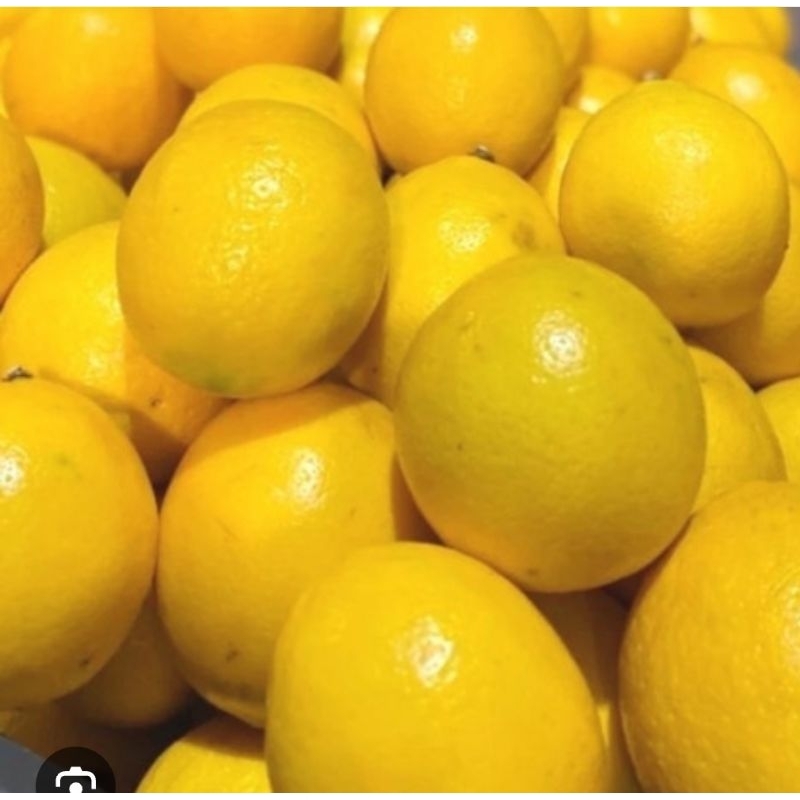 

Jeruk Lemon 500 gram