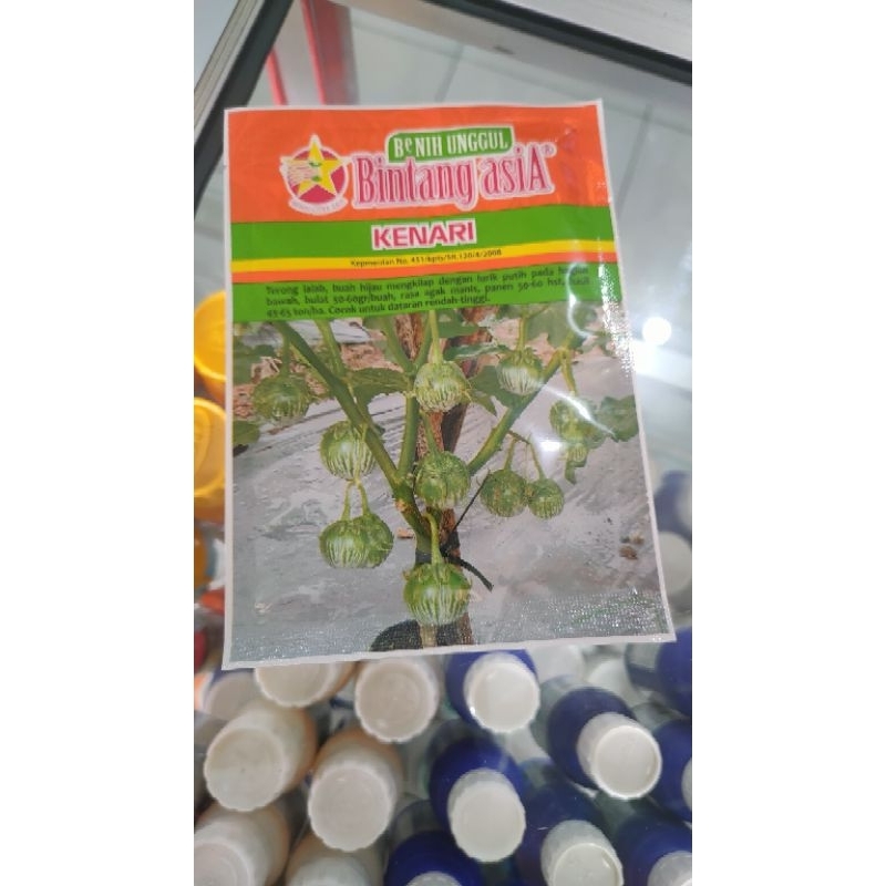 BIBIT TERONG LALAP (KENARI) 10 g BIBIT TERONG TERLARIS