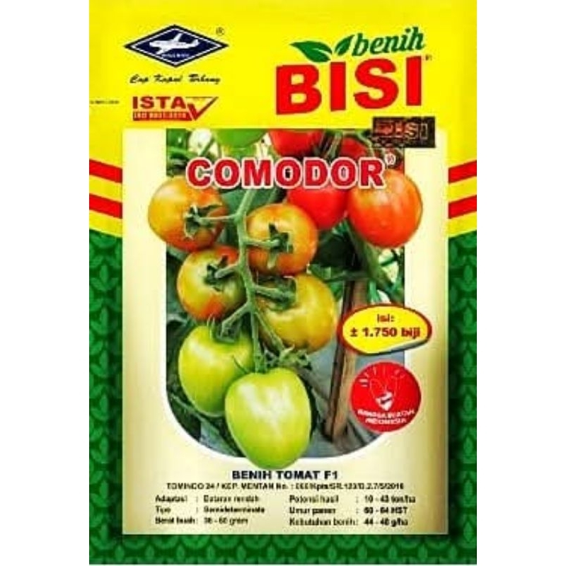 COMODOR F1 Benih Tomat Hibrida COMODOR F1 5 gram Bibit Tomat Tahan Virus BISI