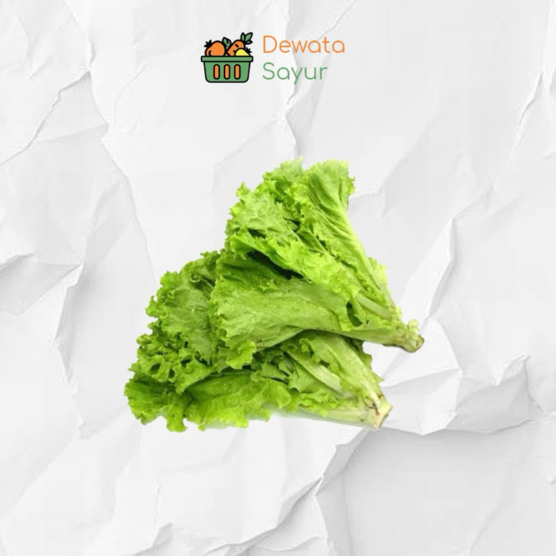 

Selada Keriting 250gr - Dewata Sayur