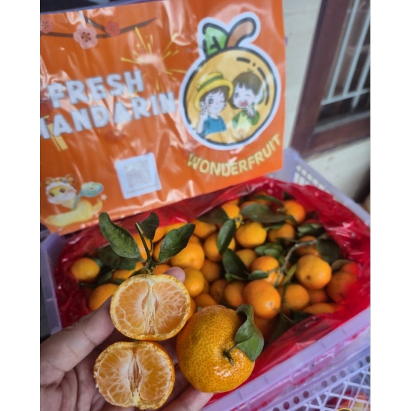 

jeruk Santang Daun honey tangerin curah