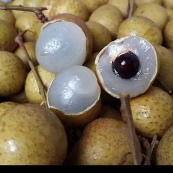 

Buah Kelengkeng 1kg
