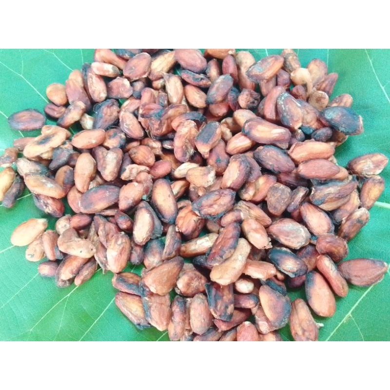 

Biji Kakao Kering