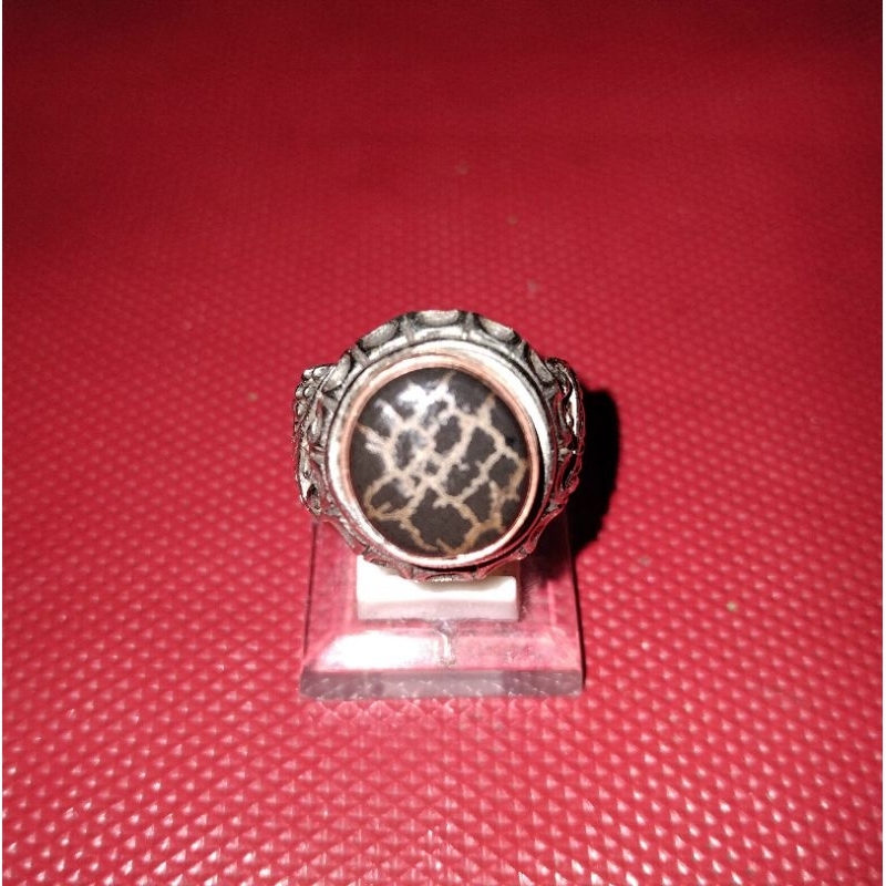 Badar besi semeru lumajang asli urat tunggal perak batu badar besi semeru urat tunggal kura putih na