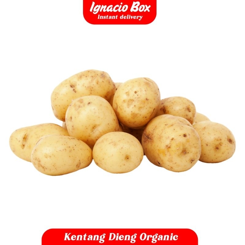 

PROMO Kentang Kuning Dieng Segar 500gr Organik IgnacioBox
