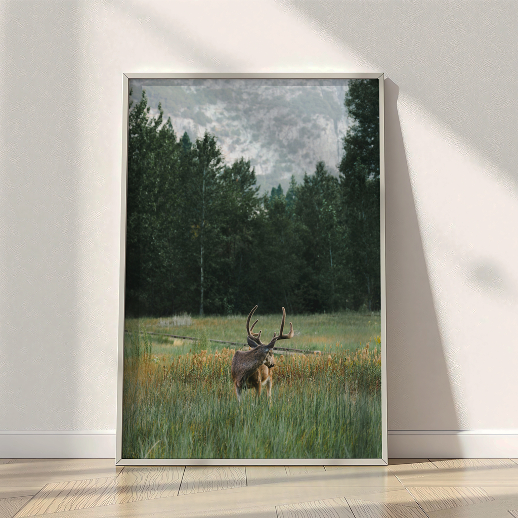 Poster Rusa di Padang Rumput & Hutan – Gambar Alam Liar, Dekorasi Dinding Pemandangan Rusa di Hutan,