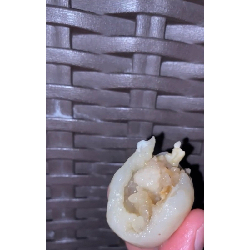 

[NEW] CILOK ISI JANDO KECIL MIONZEE