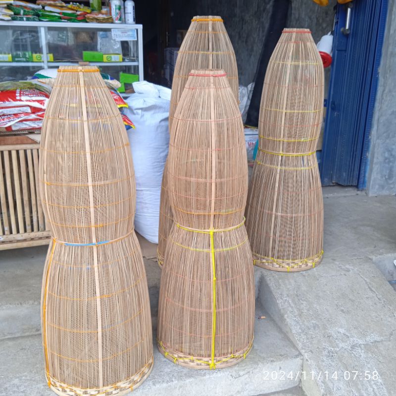 Wuwu ikan bubu ikan jumbo