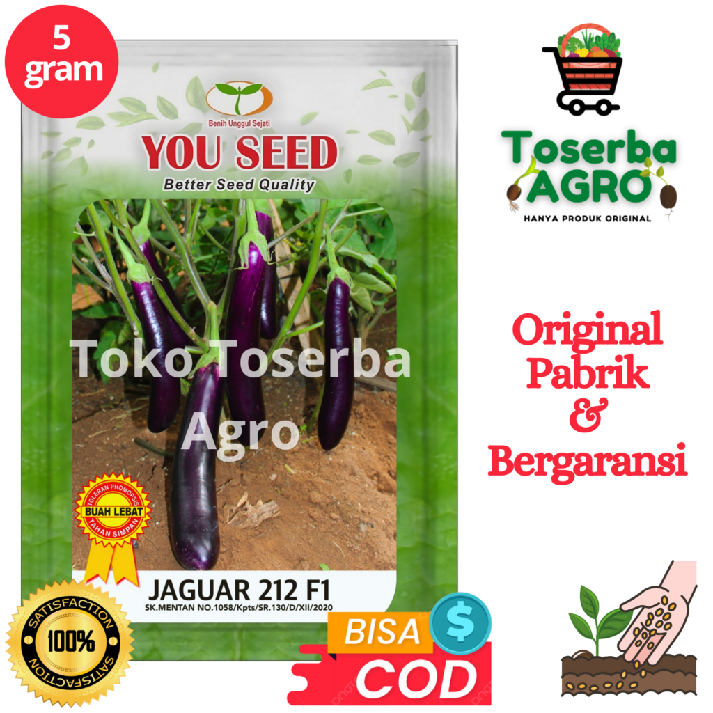 Benih Bibit Terong Ungu JAGUAR 212 F1 5g Cap You seed Tahan Virus