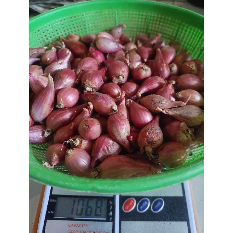 

bawang merah kecil campur nganjuk 1kg