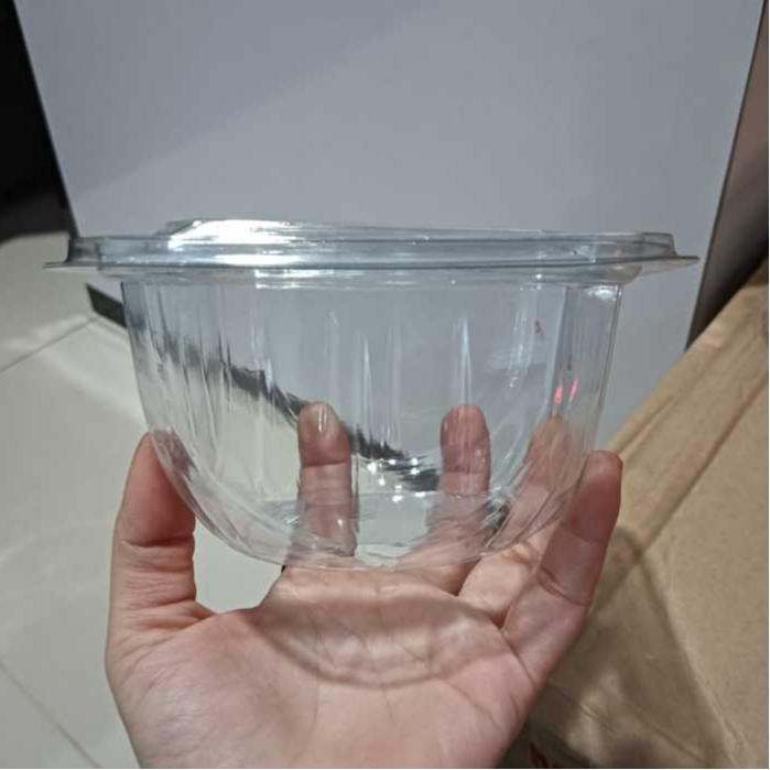 Mika Salad 500ml isi 20pcs + Tutup Mika MB100 500ml Salad Tray Mika / Kotak Salad Buah Puding Puddin