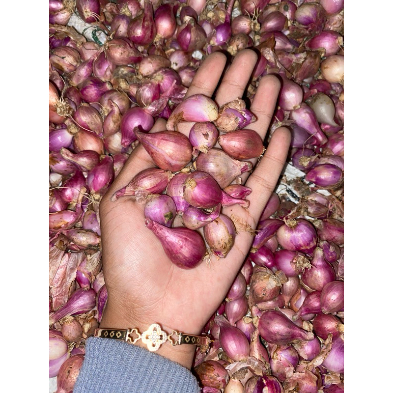 

bawang merah tanggung 1 kg