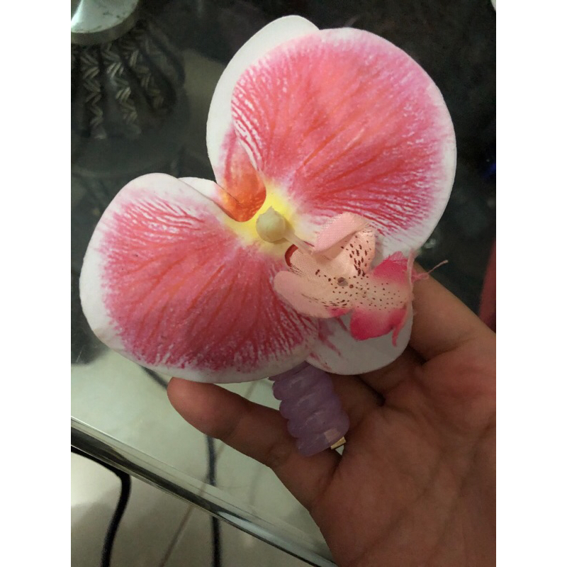 tas crsl