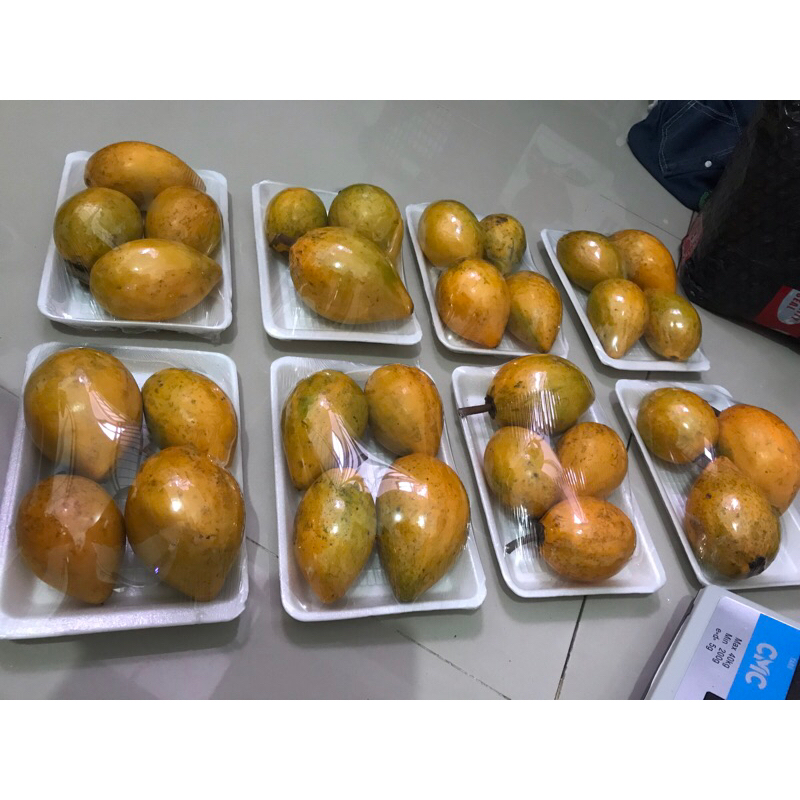 

sawo belanda pack 500gr