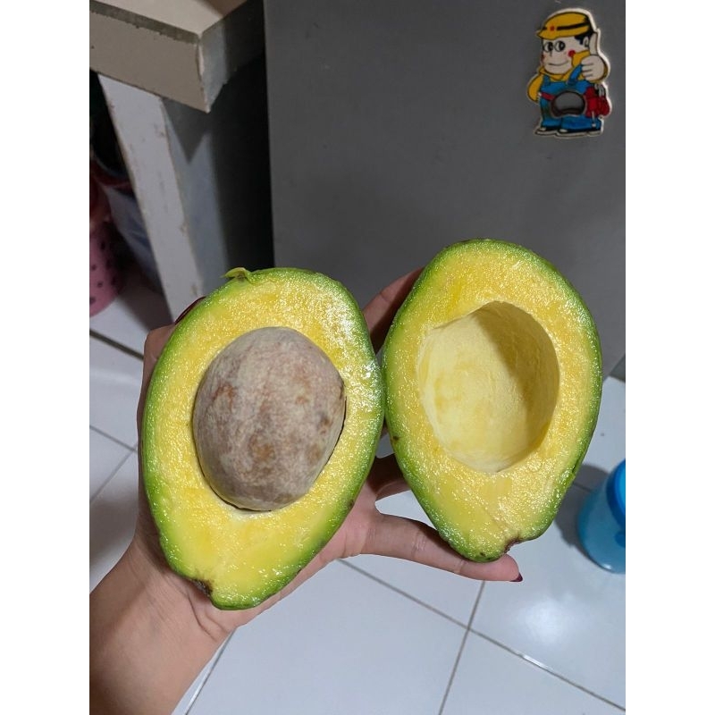 

Alpukat Mentega Jumbo Fresh Tua isi 2-5 1kg/Petani Alpukat/Avocado