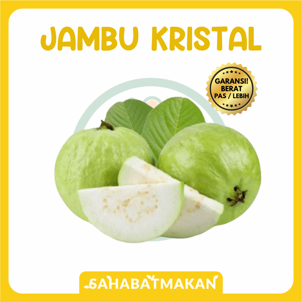

Jambu Kristal — Sahabat Makan Sayur Jogja