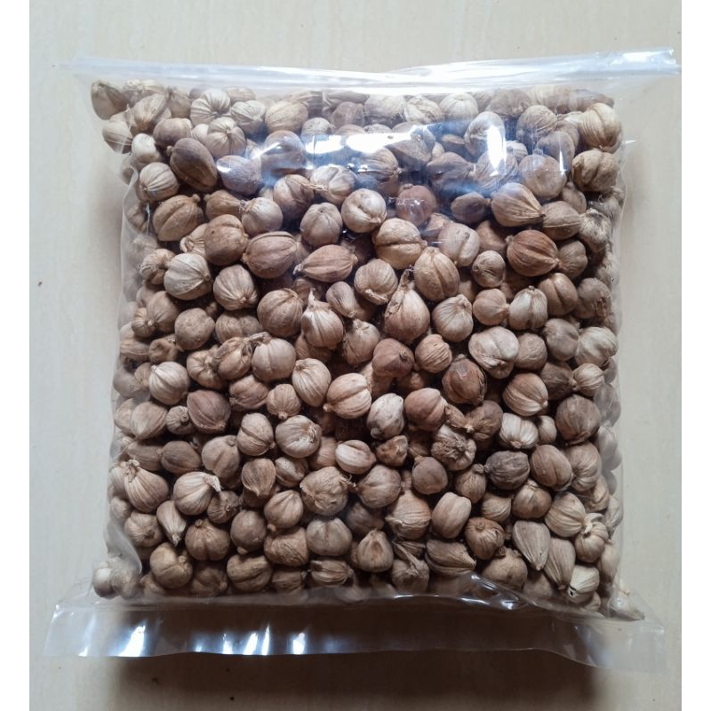 

kapulaga kering Kapolaga Jawa asli organik 250 gram