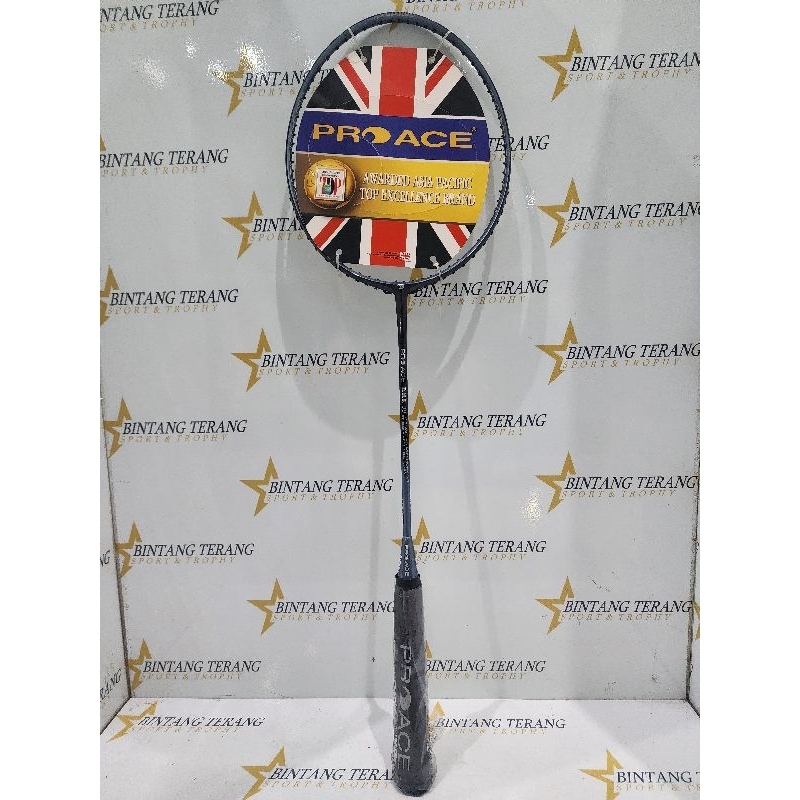 RAKET BADMINTON PRO ACE DMS 99