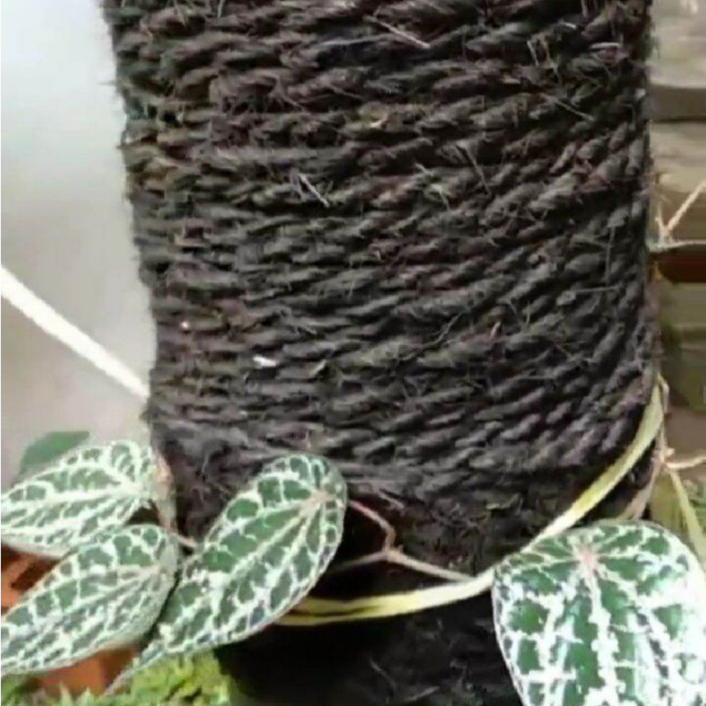 RB Tali Ijuk Aren Super 210 Meter Tali Ijuk Asli Pengikat Gazebo Tali Ijuk Ikat Bambu Tali Ijuk