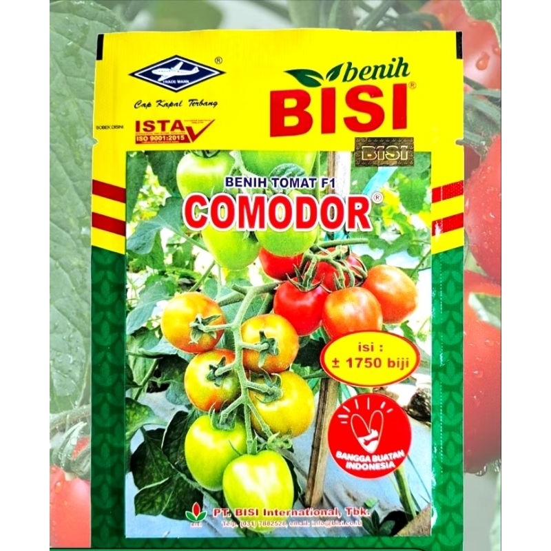 benih tomat hibrida comodor F1 isi 5 grm
