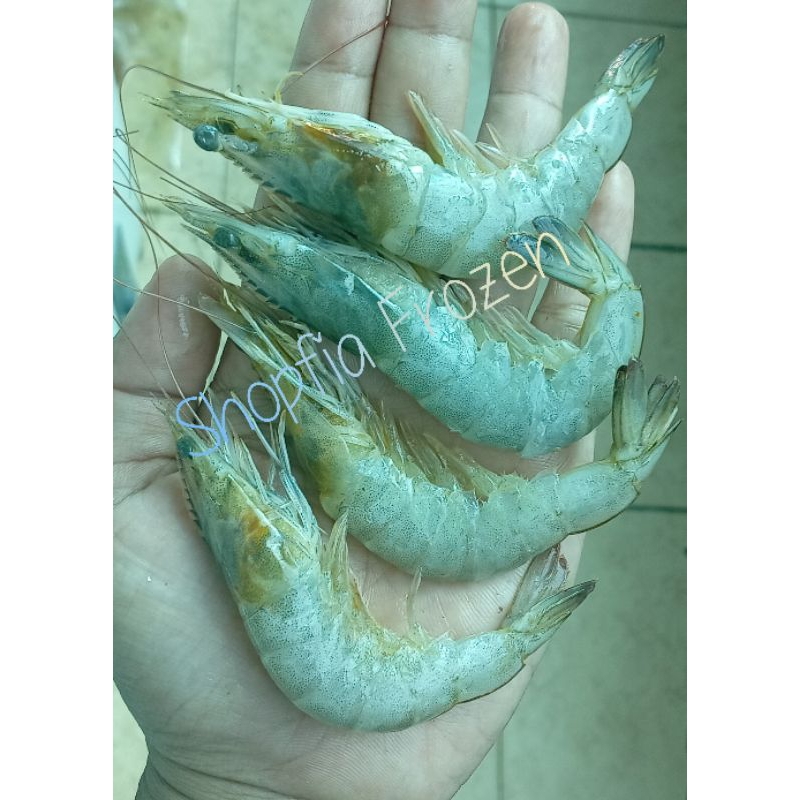 

Udang Vaname size 25-30ekor/pack Berat 500gram/pack