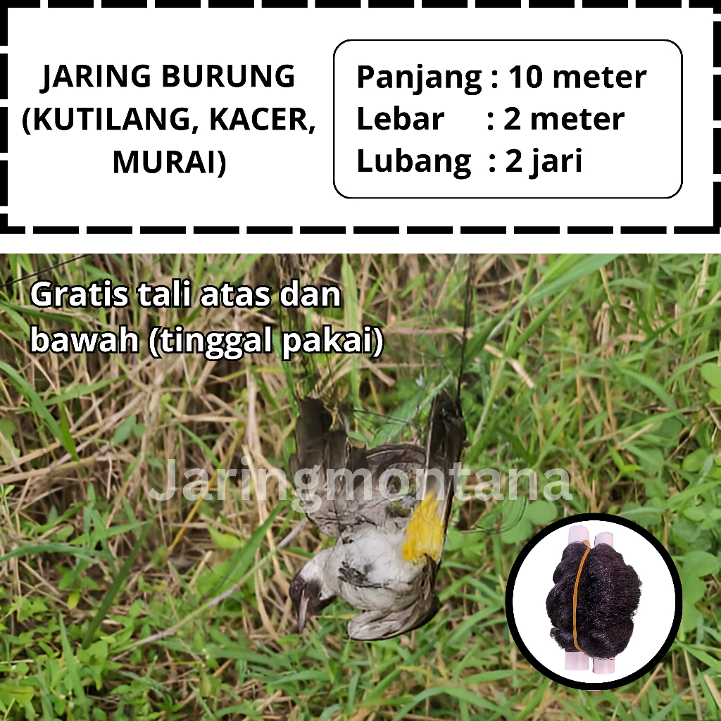 JARING BURUNG KUTILANG JARING BURUNG KACER JARING BURUNG JEBAKAN BURUNG JEBAKAN BURUNG SIAP PAKAI