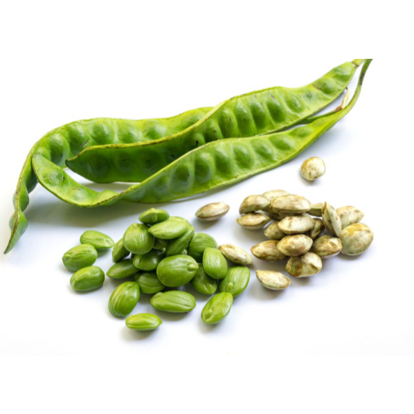 

HERBAL PETE PETAI SEDANG PER 1 PAPAN Bisa COD