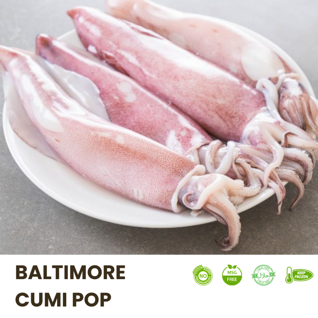 

Cumi pop 1 kg fresh supplier hotel, kafe, resto